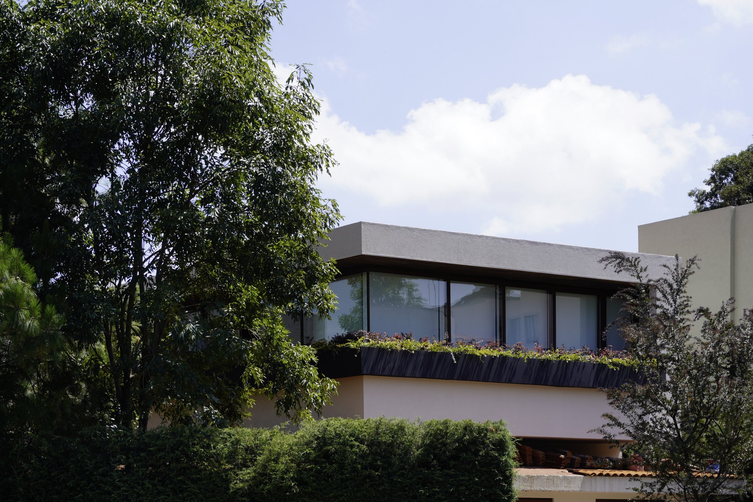 La casa entre los árboles, vista desde el jardín