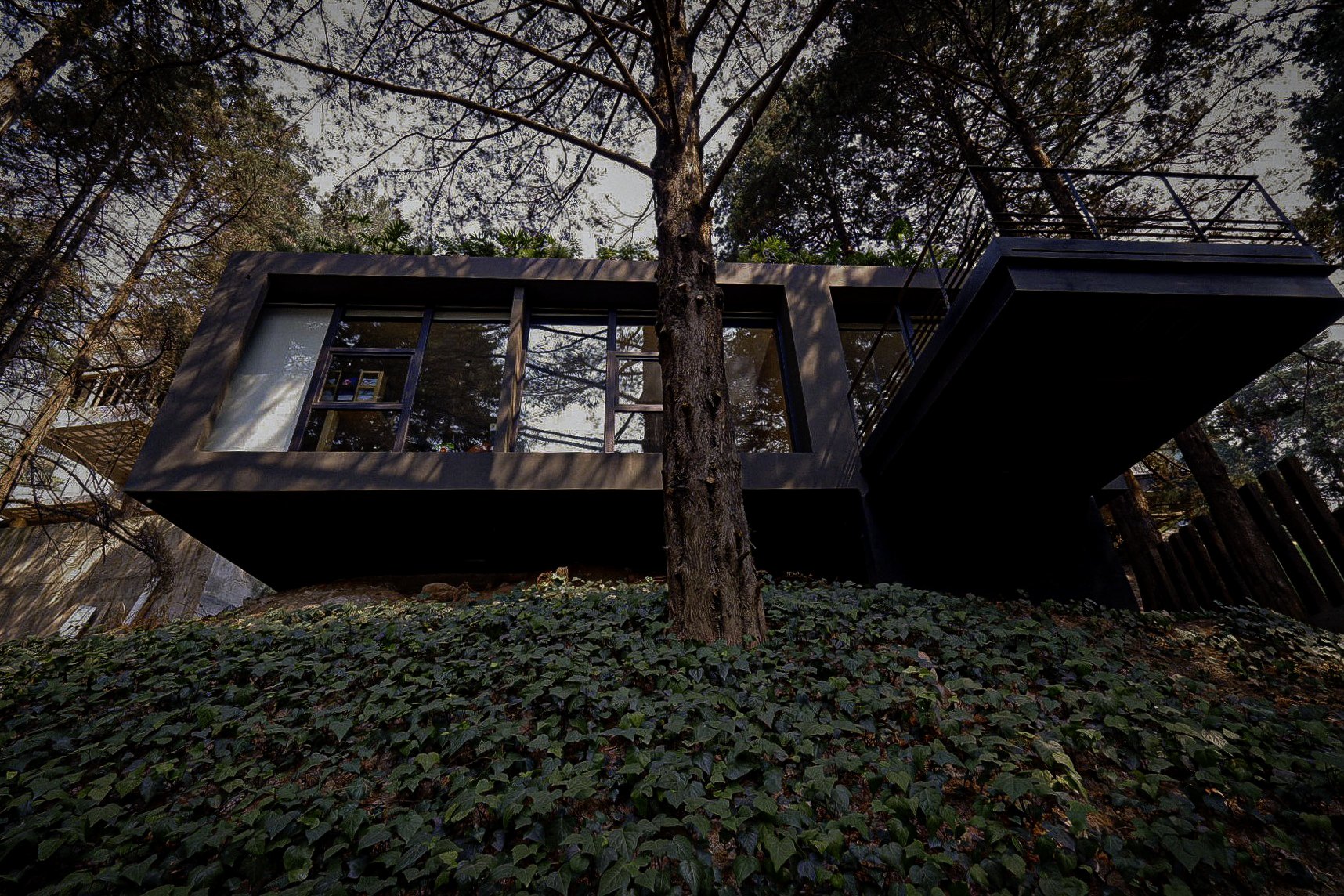 La casa negra entre los árboles, vista desde el jardín