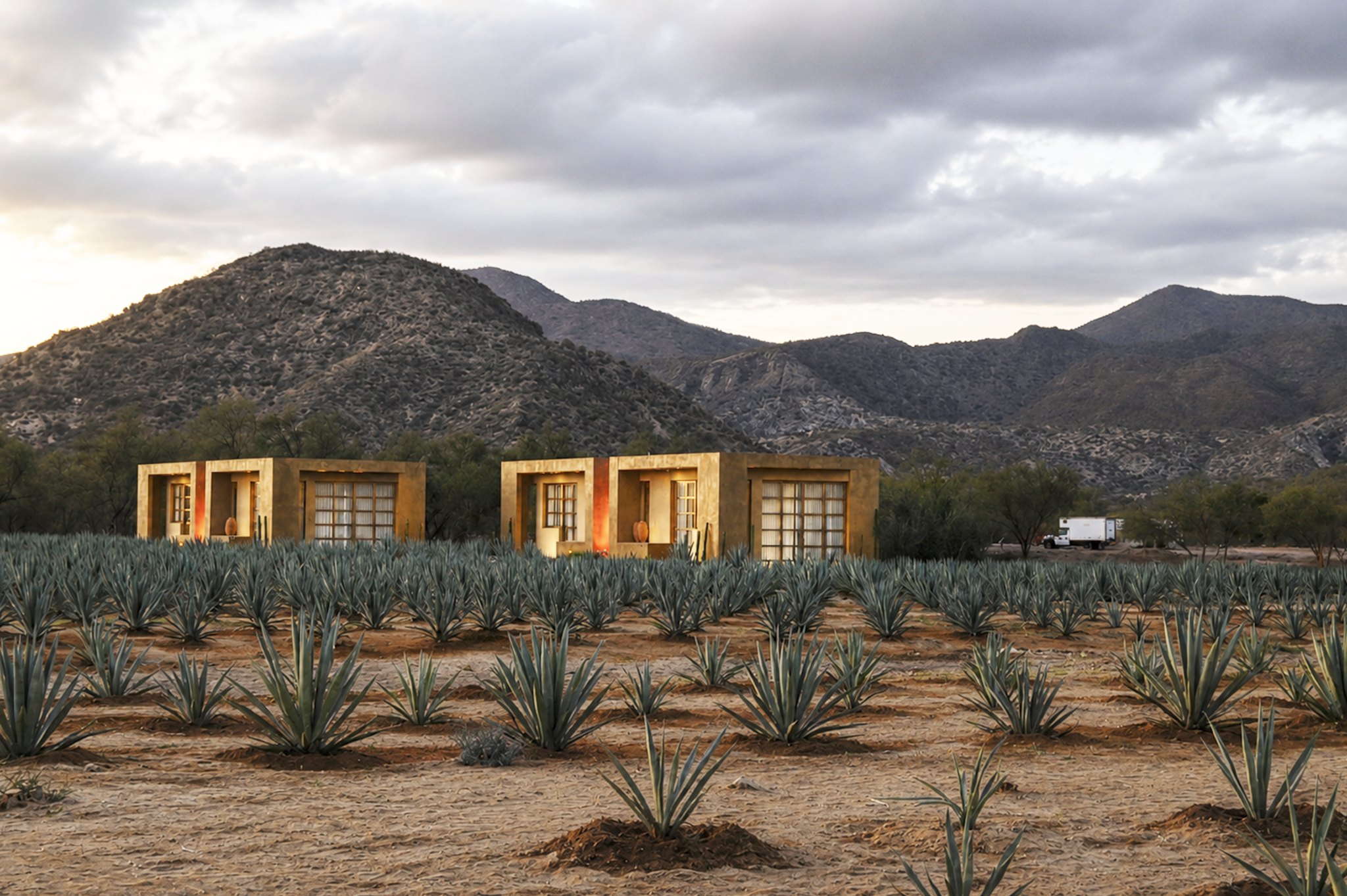 Las casitas encendidas entre el plantío de agave