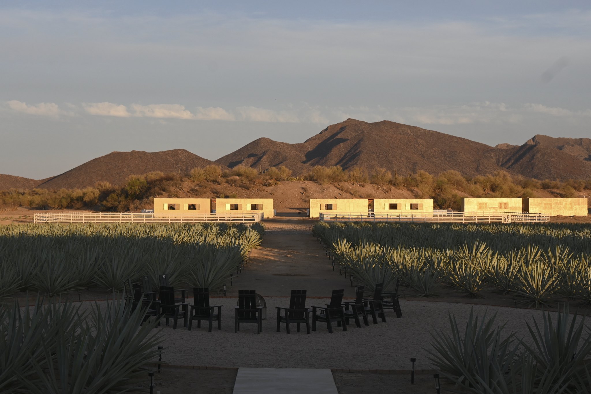 La terraza frente al agave, con los cerros al poniente