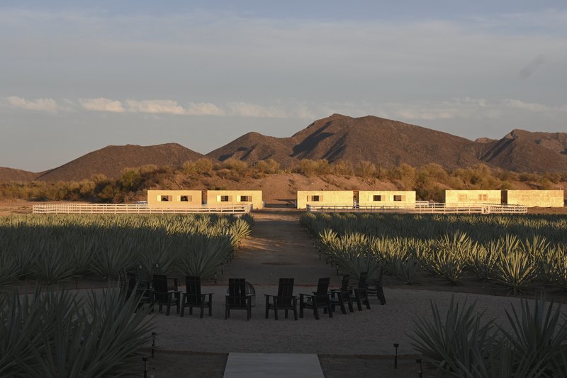 La terraza frente al agave, con los cerros al poniente
