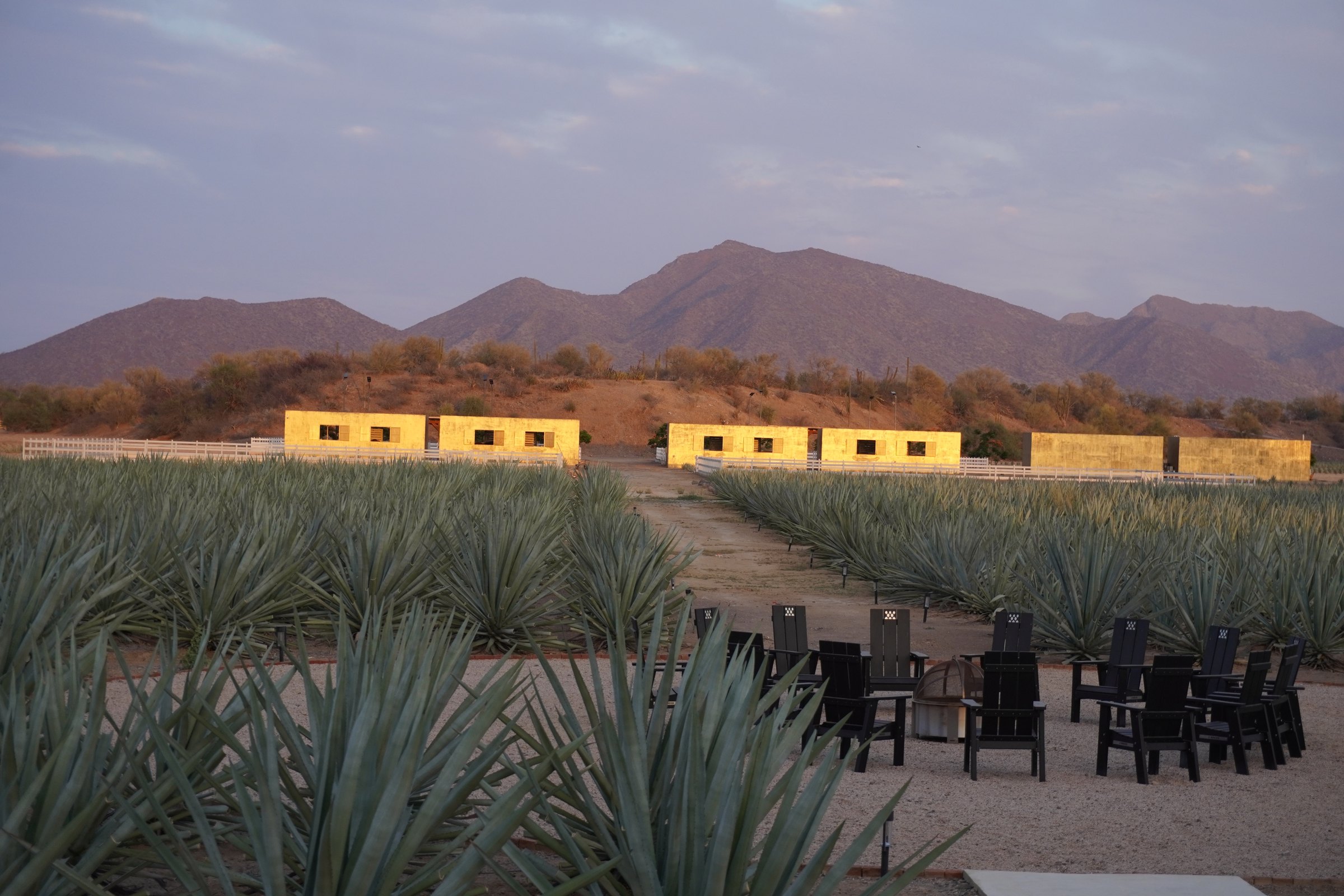 Las casitas alineadas frente al plantío de agave