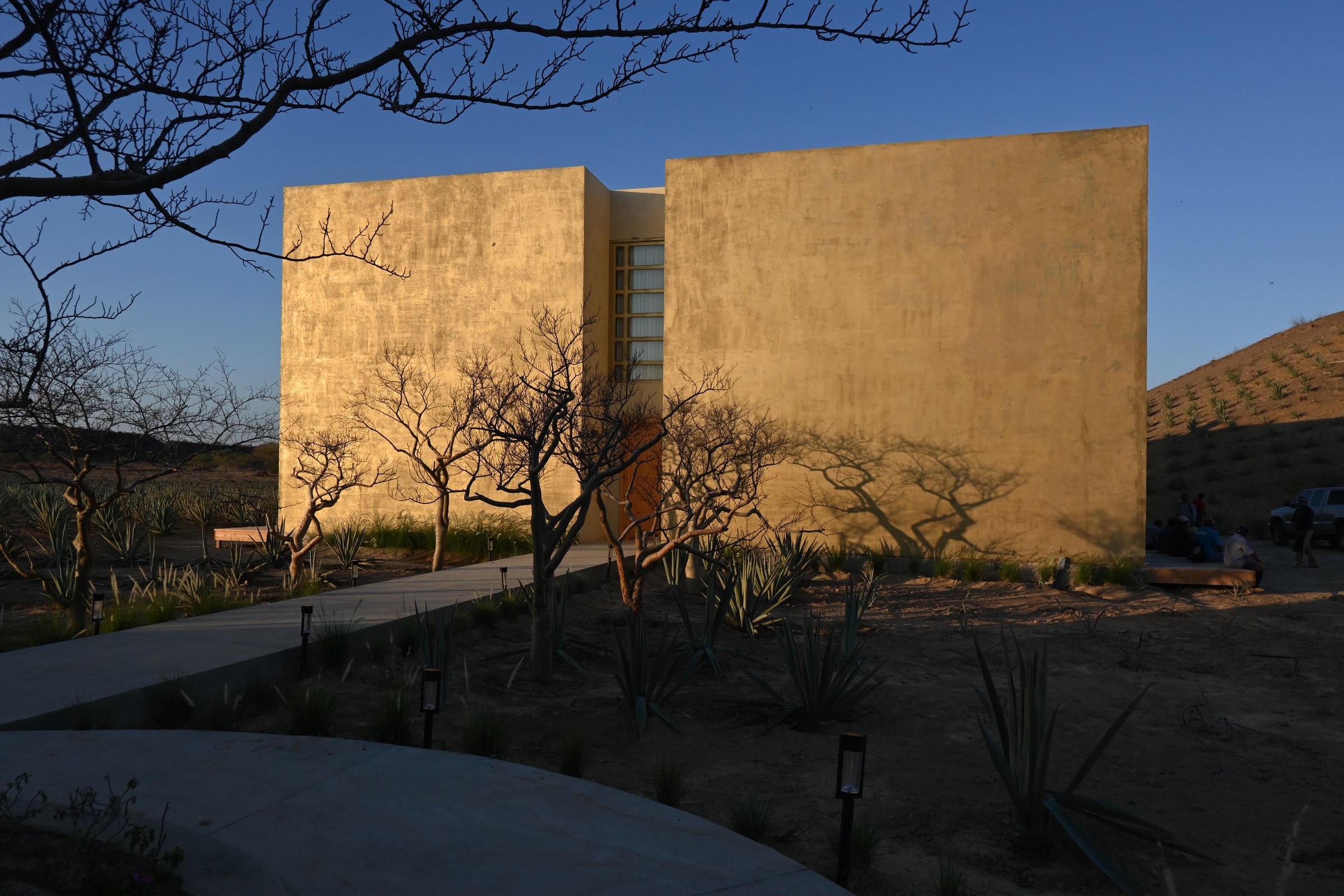 La villa al anochecer, entre los árboles del desierto