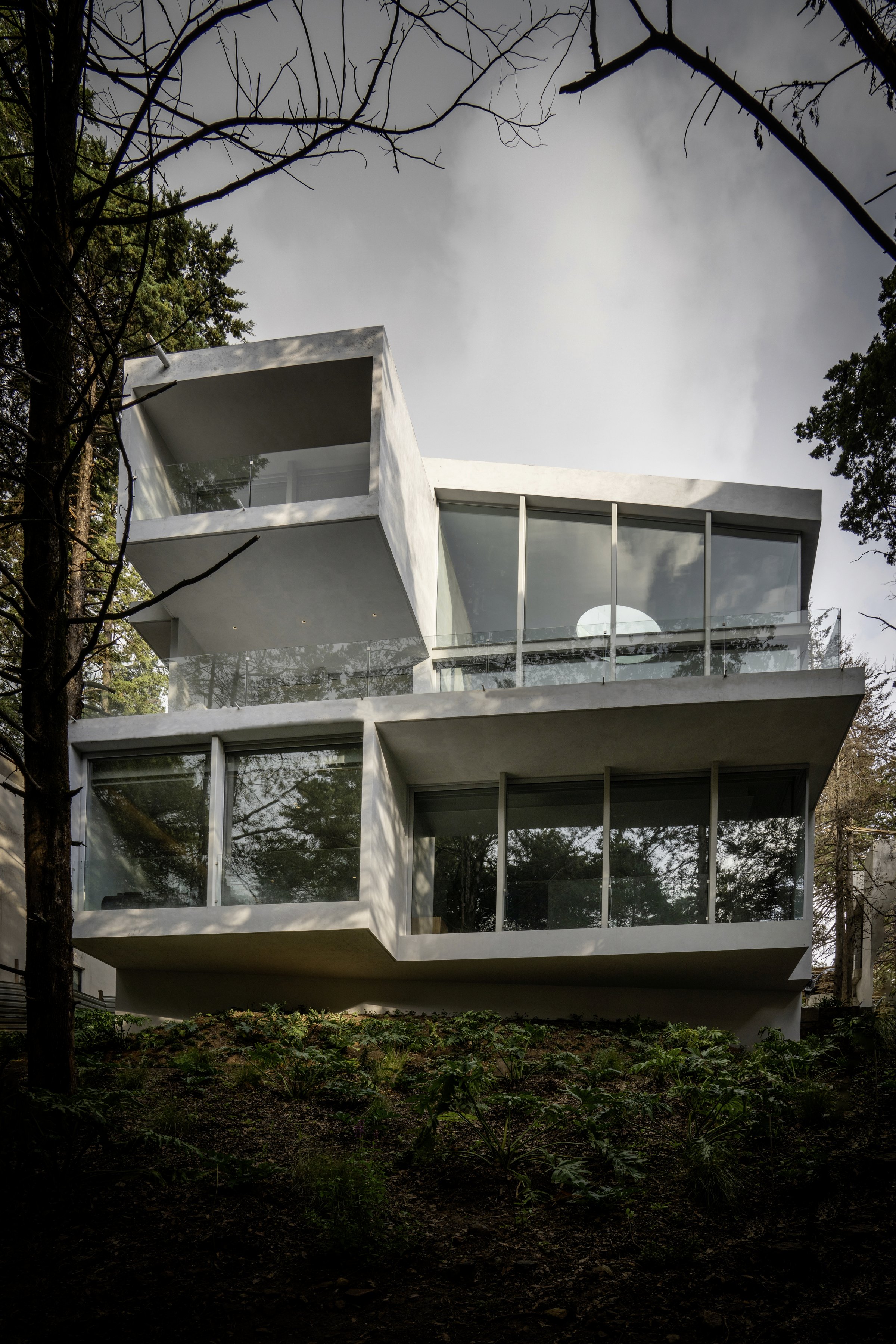 Casa ArRo: el volumen blanco en voladizo entre los árboles
