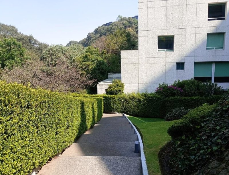 El acceso al conjunto entre los setos, con el edificio al fondo
