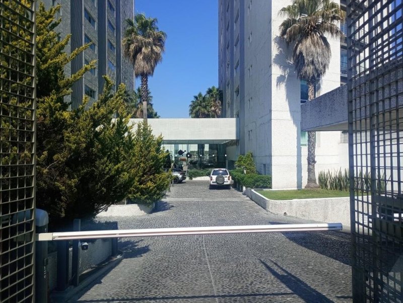 El acceso al conjunto desde la avenida, entre palmeras
